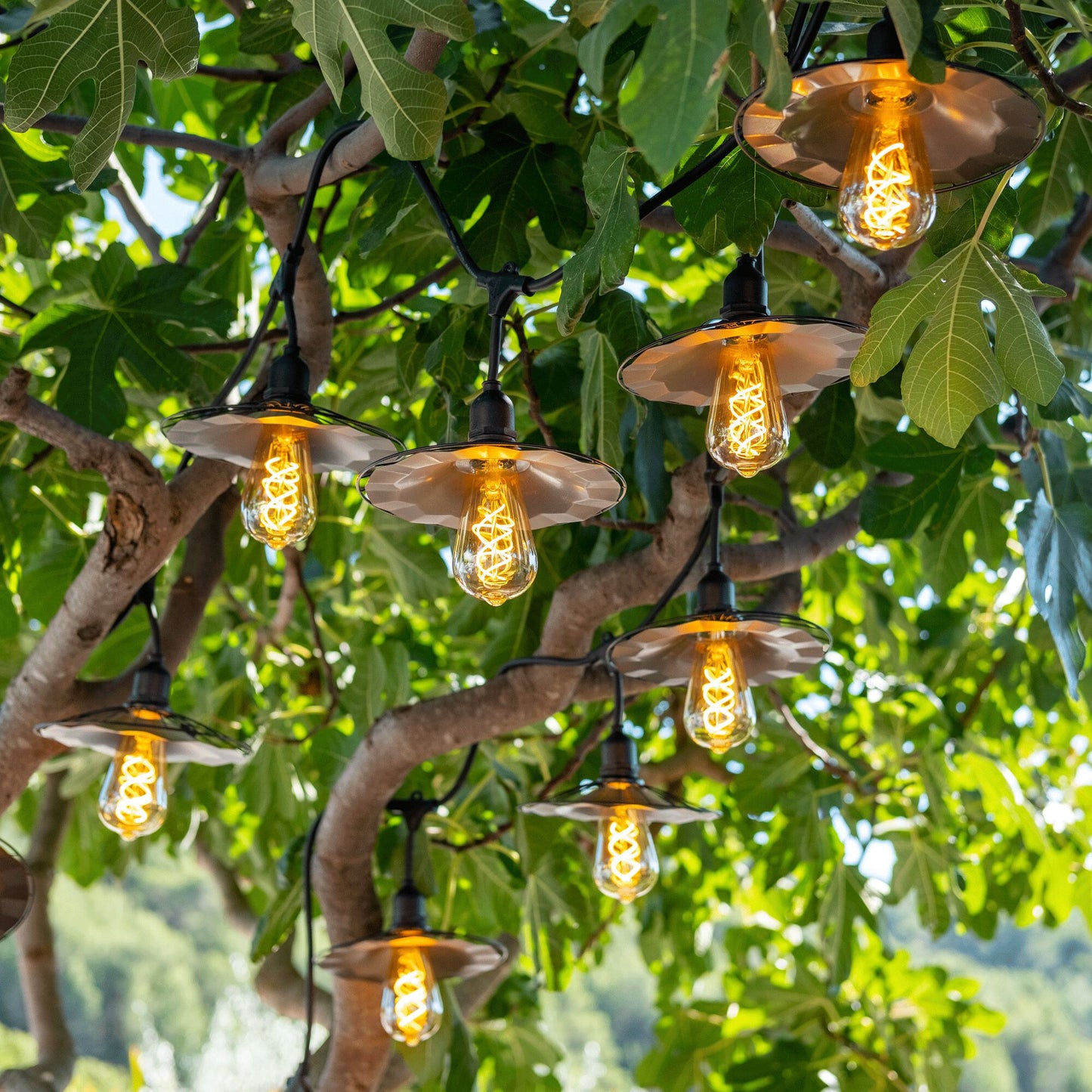 POIRE - Ampoule LED décorative ambrée H14cm culot E27