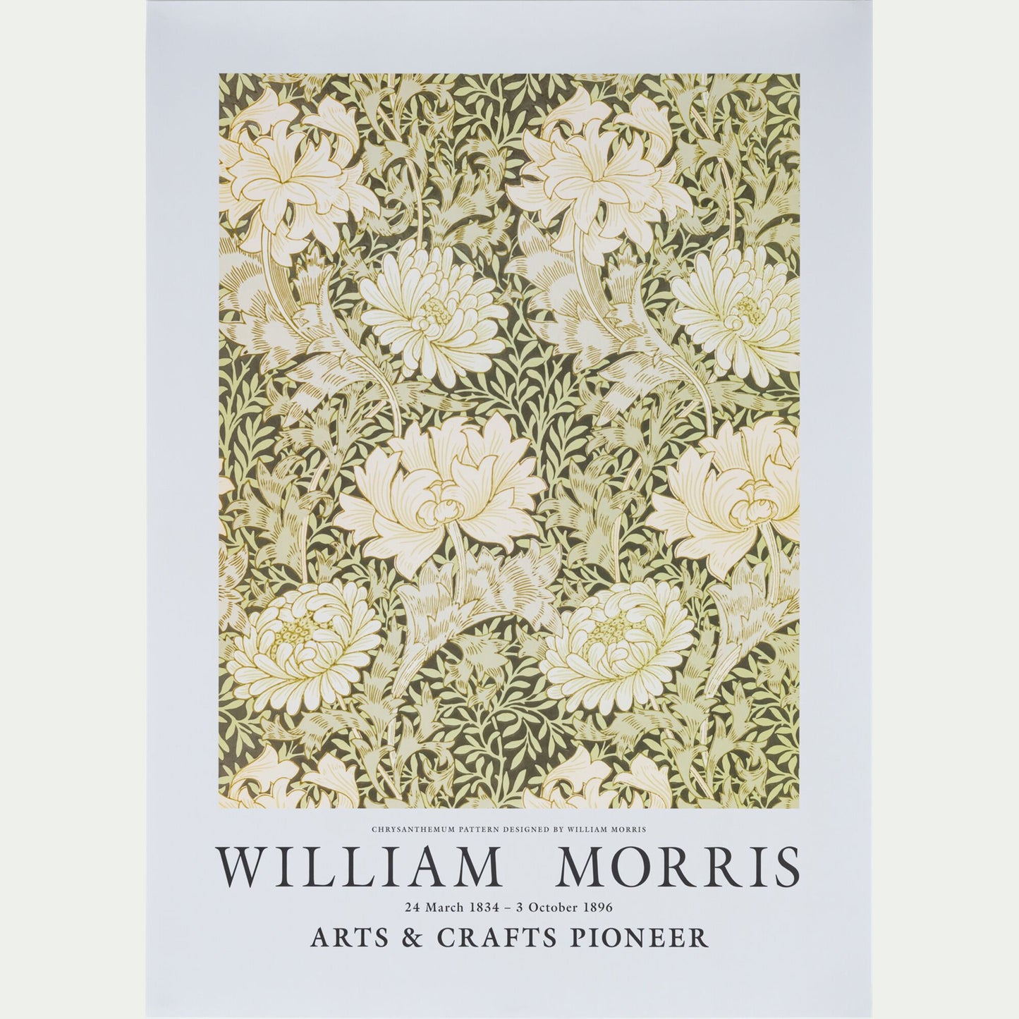 MORRIS FLEURS - Affiche chrysanthèmes 50x70cm - vert garrigue