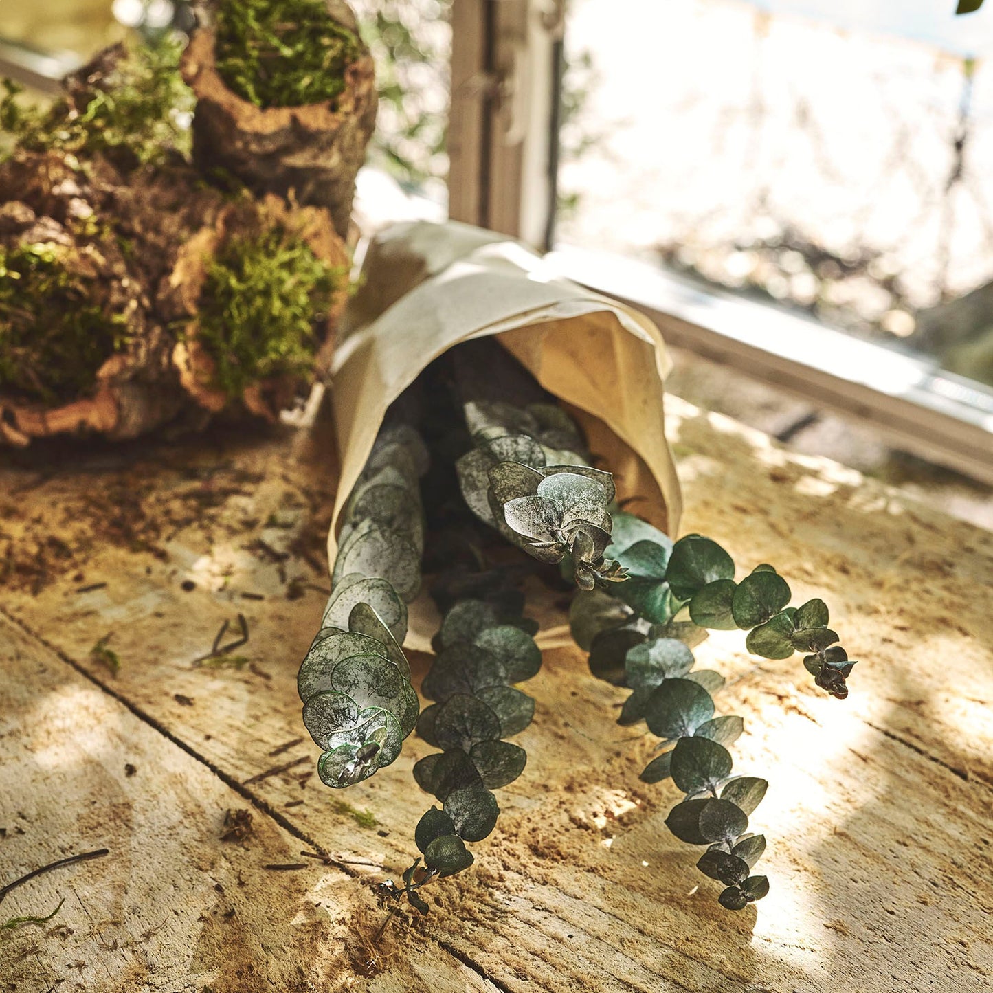 FLORALIE - Botte d'eucalyptus préservée 55cm - vert