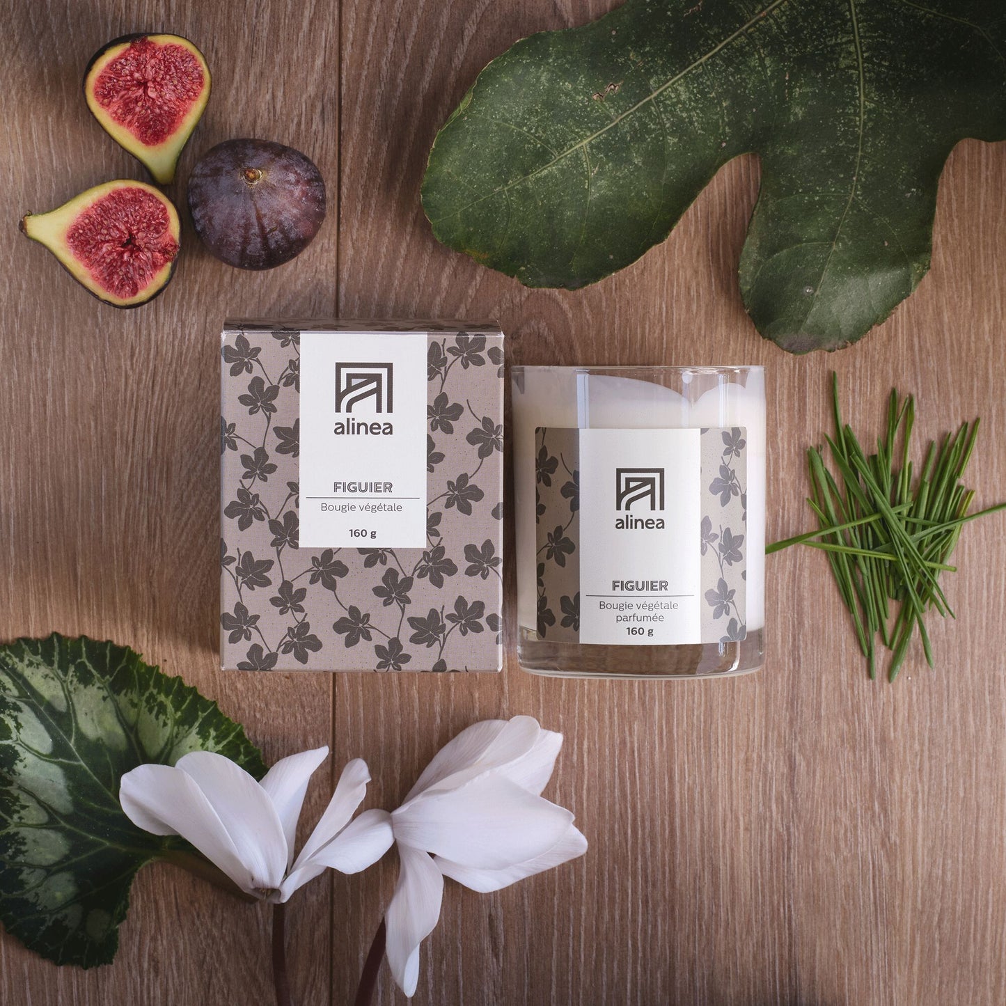 SIGNATURE - Bougie parfumée senteur Figuier 160g