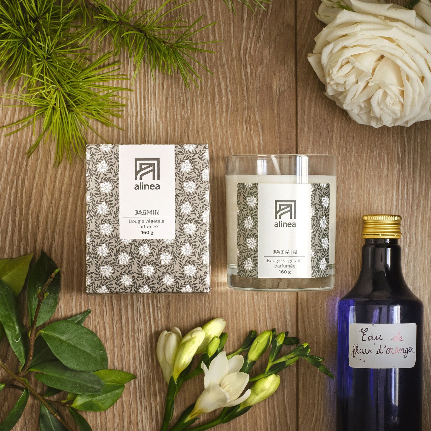 SIGNATURE - Bougie parfumée senteur Jasmin 160g