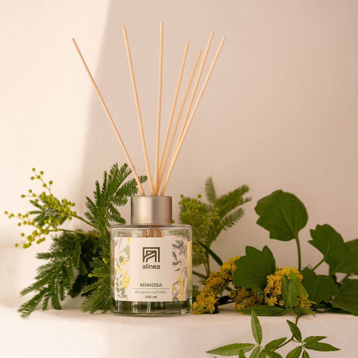 SIGNATURE - Diffuseur de parfum senteur mimosa 100ml
