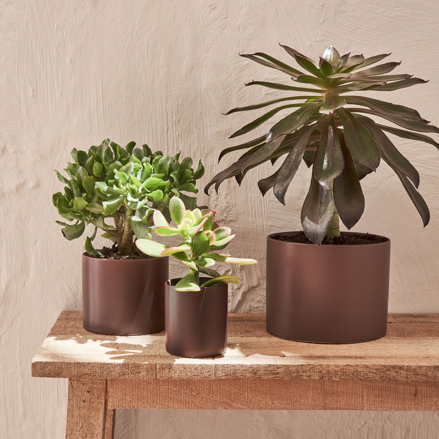 MARTIN - Cache-pot en céramique - brun rhassoul D14xH11cm
