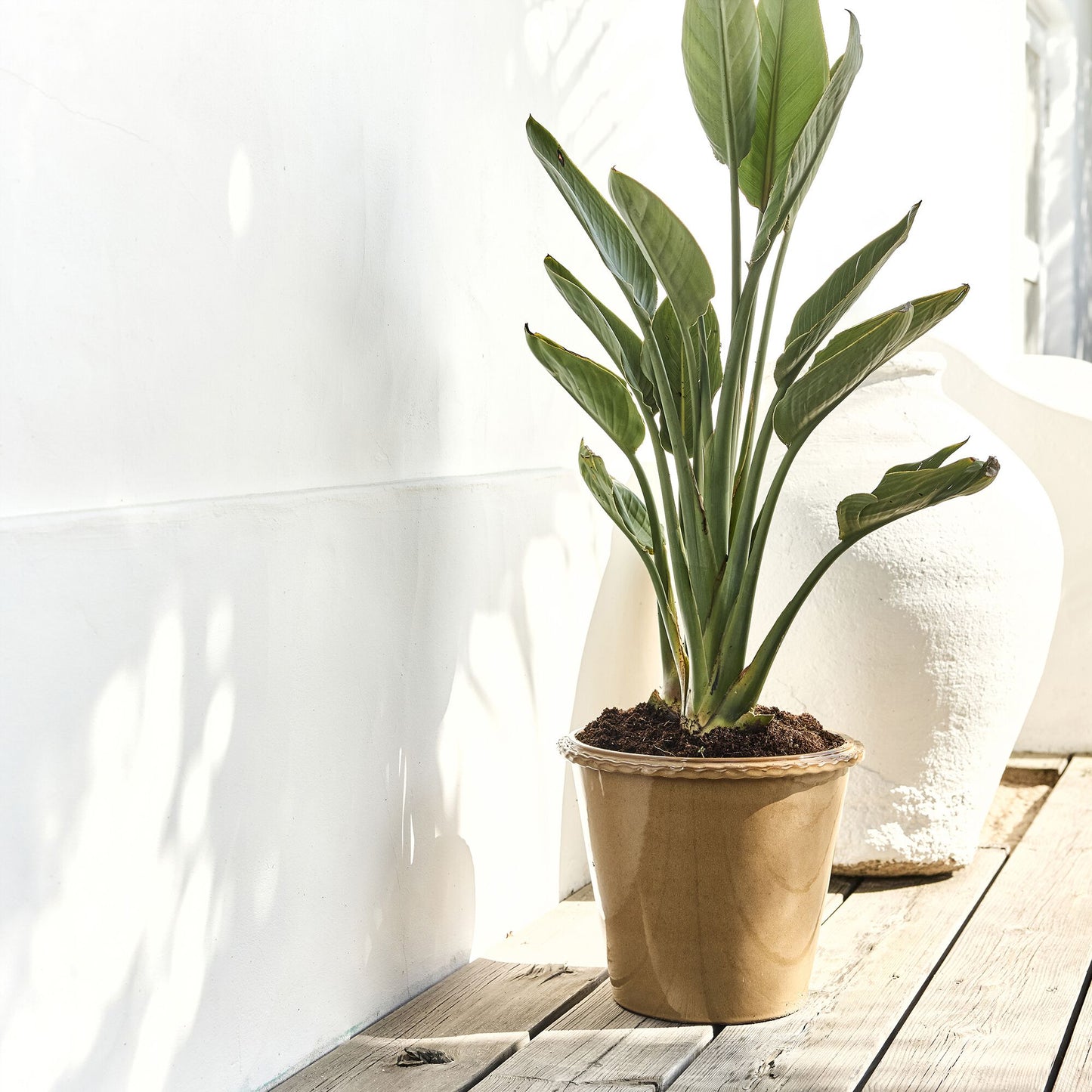 ARUDY - Pot en terre cuite D30cm - jaune