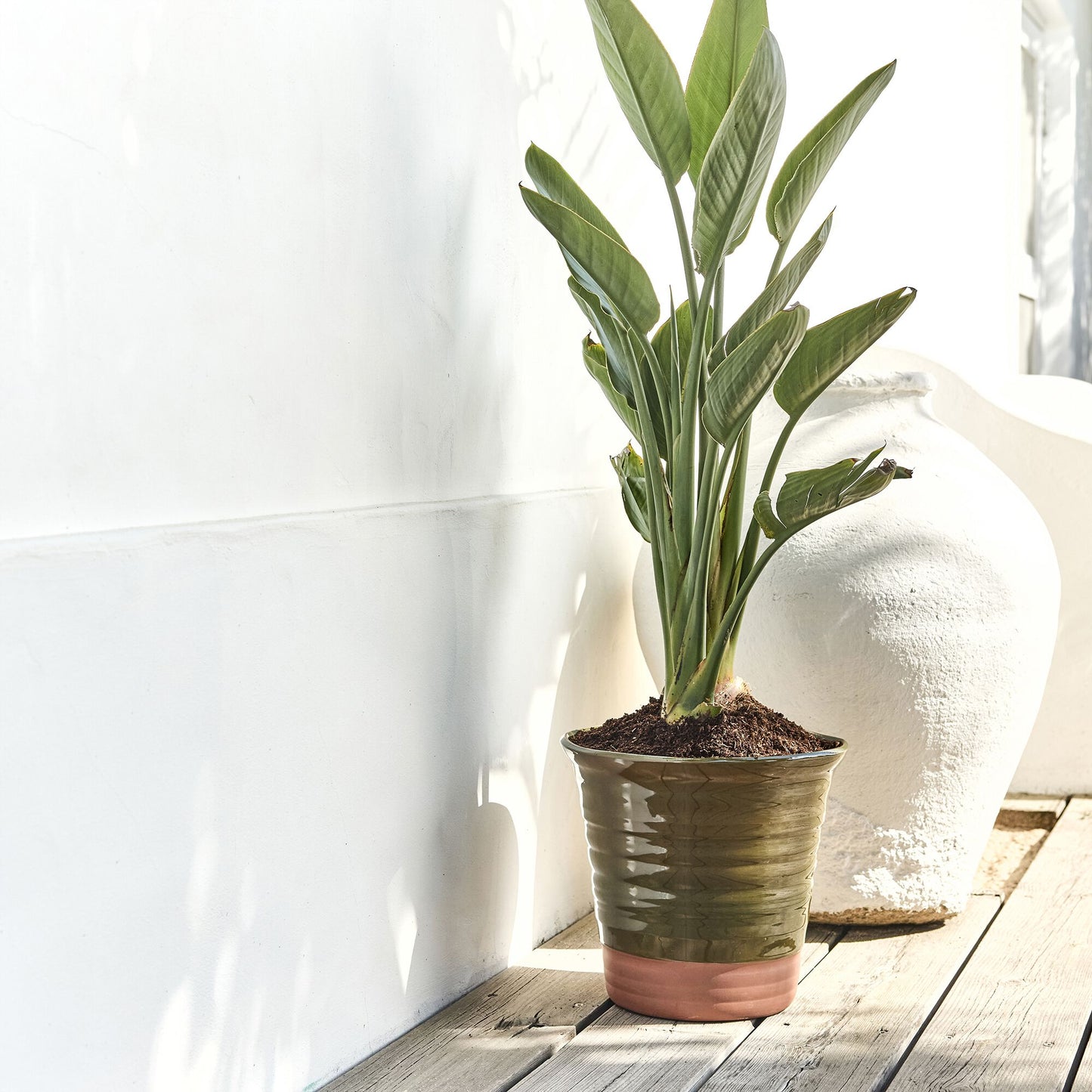 VENOSTA - Pot bicolore en terre cuite D29cm - vert