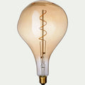 CABOSSE - Ampoule décorative LED D16cm culot E27