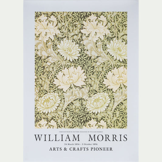 MORRIS FLEURS - Affiche chrysanthèmes 50x70cm - vert garrigue