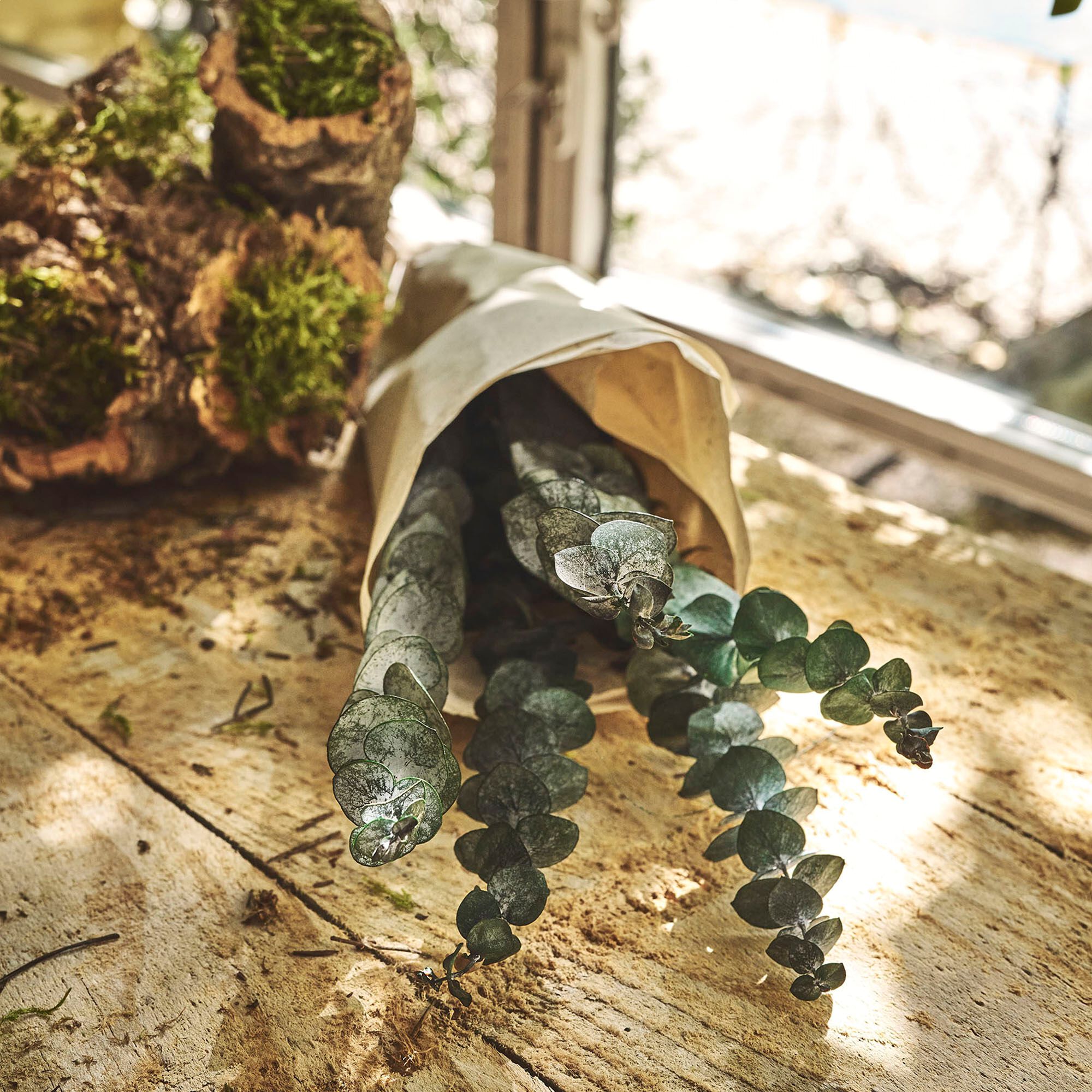 FLORALIE - Botte d'eucalyptus préservée 55cm - vert