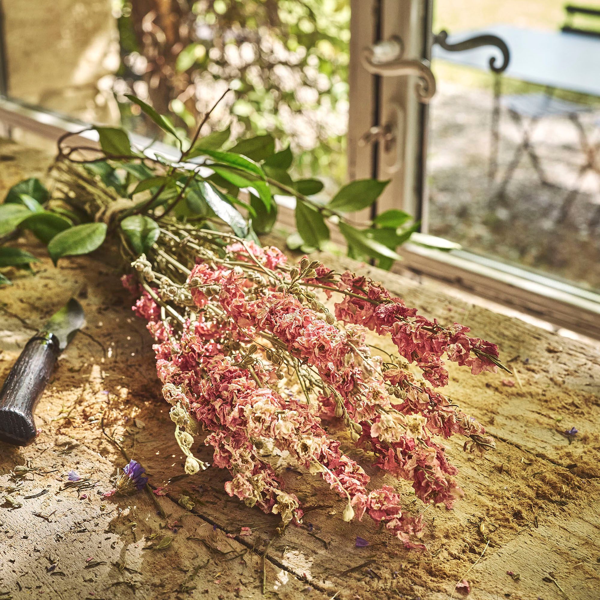 FLORALIE - Botte de rhodantes séchées 50cm - rose