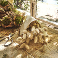FLORALIE - Botte de lagure ovale séchée 50cm - beige
