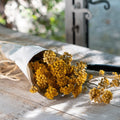 FLORALIE - Botte de lona séchée 35cm - jaune