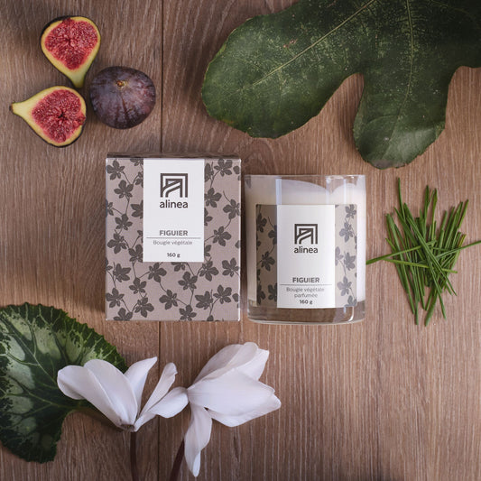SIGNATURE - Bougie parfumée senteur Figuier 160g
