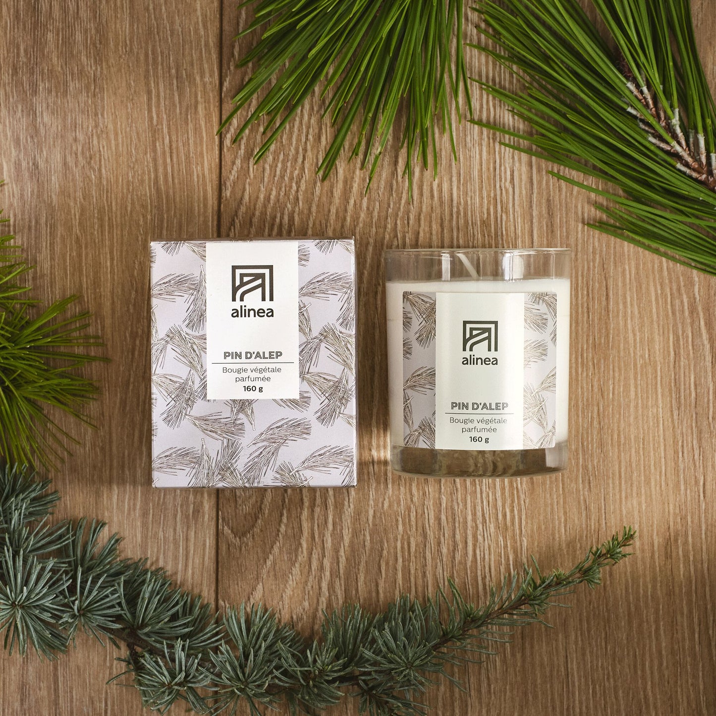 SIGNATURE - Bougie parfumée senteur Pin d'Alep 160g