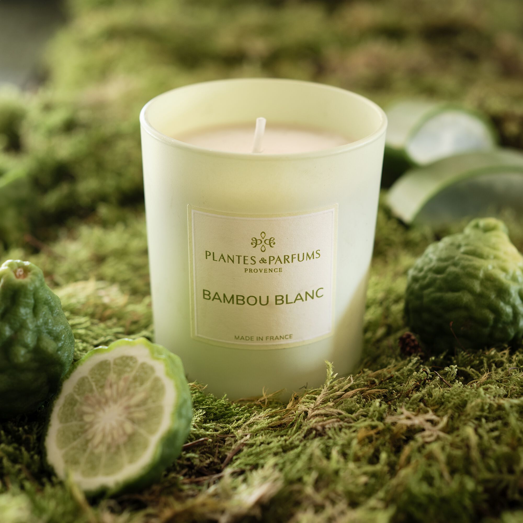 MANON - Bougie parfumée senteur Bambou Blanc 180g