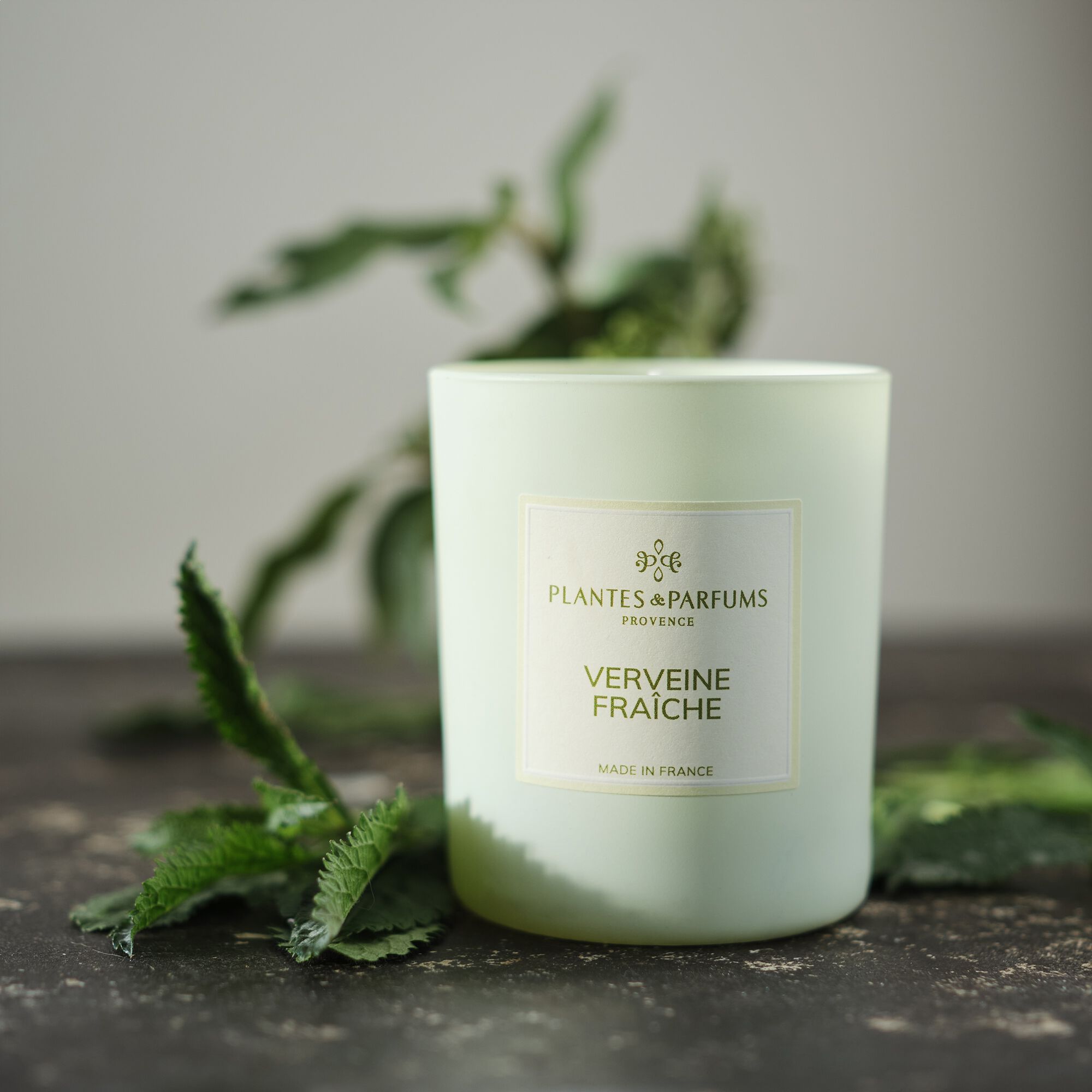 MANON - Bougie parfumée senteur Verveine Fraîche 180g