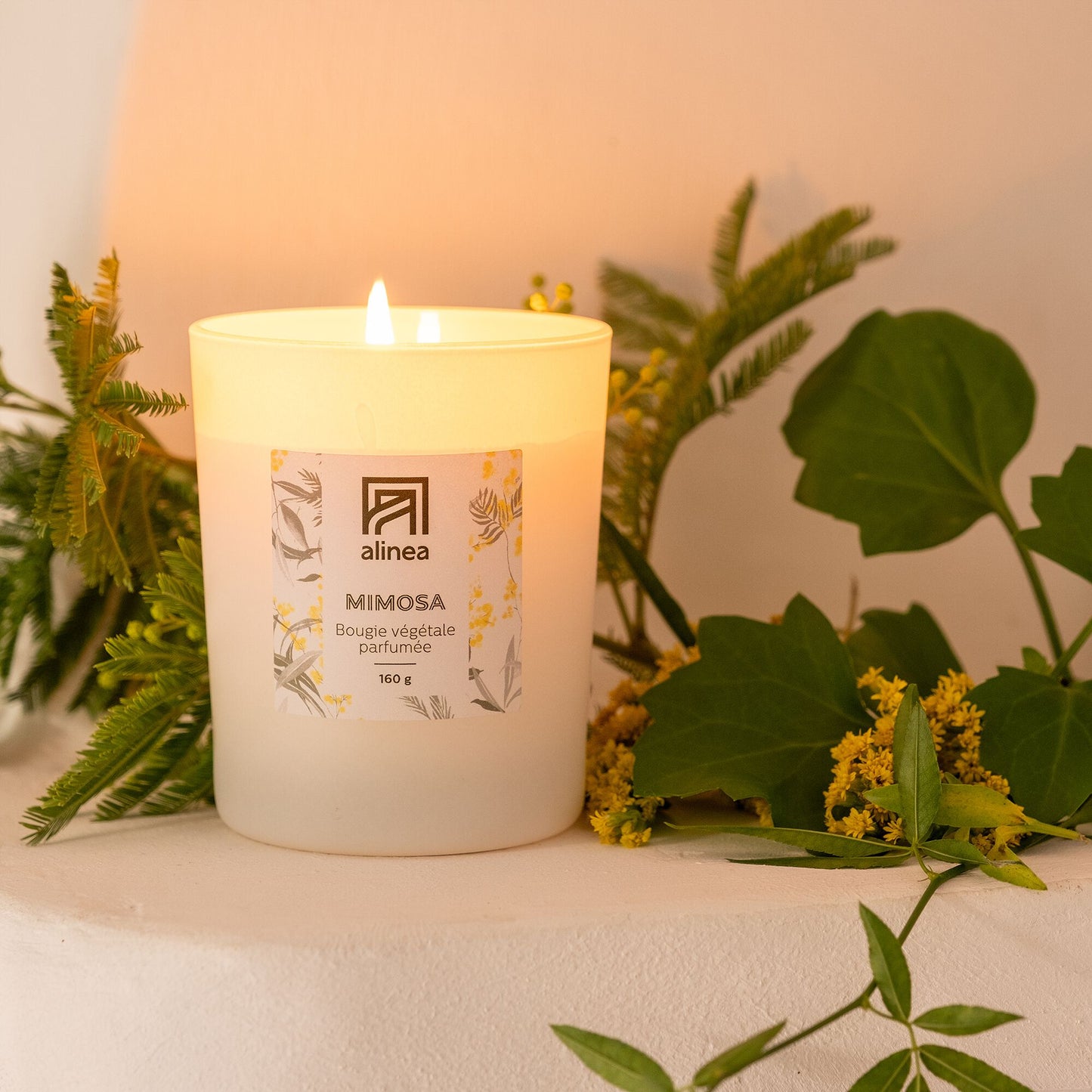 SIGNATURE - Bougie parfumée senteur mimosa 160g
