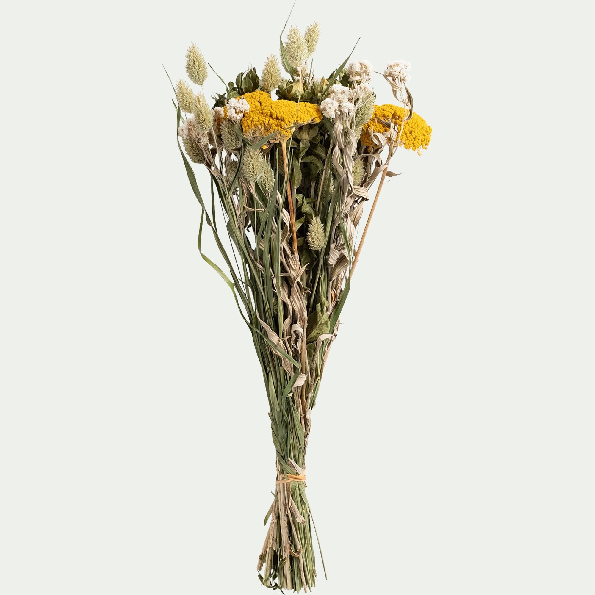 FLORALIE - Bouquet de fleurs séchés H55cm - jaune
