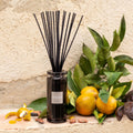 ESTEBAN - Diffuseur de parfum senteur Iris Cachemire 100ml