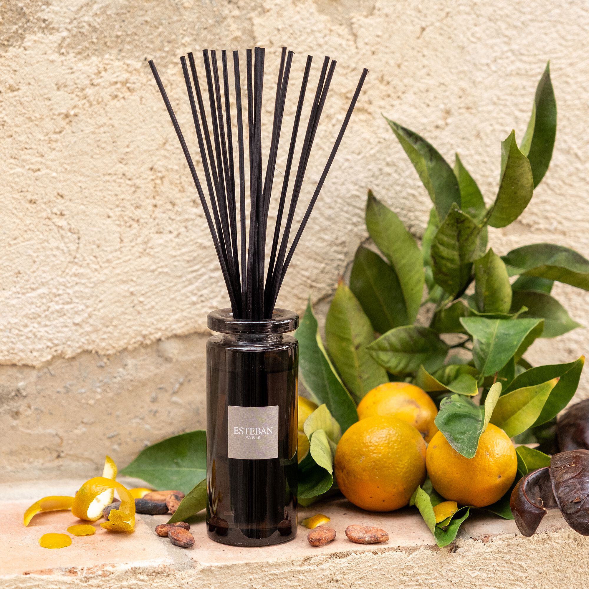 ESTEBAN - Diffuseur de parfum senteur Iris Cachemire 100ml