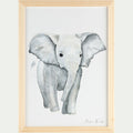 ELEPHANT - Image aquarelle encadrée Éléphant - A4