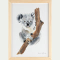 KOALA - Image aquarelle encadrée Koala - A4