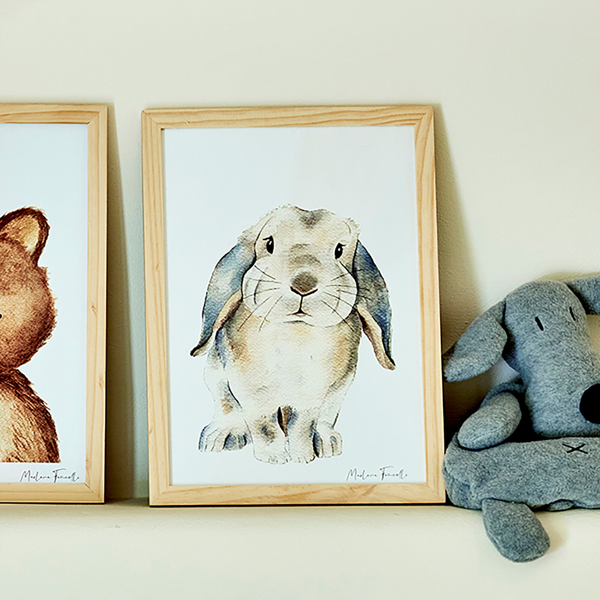 LAPIN BELIER - Image aquarelle encadrée Lapin bélier - A4