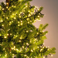 HERES - Guirlande lumineuse grappe L1970cm - blanc