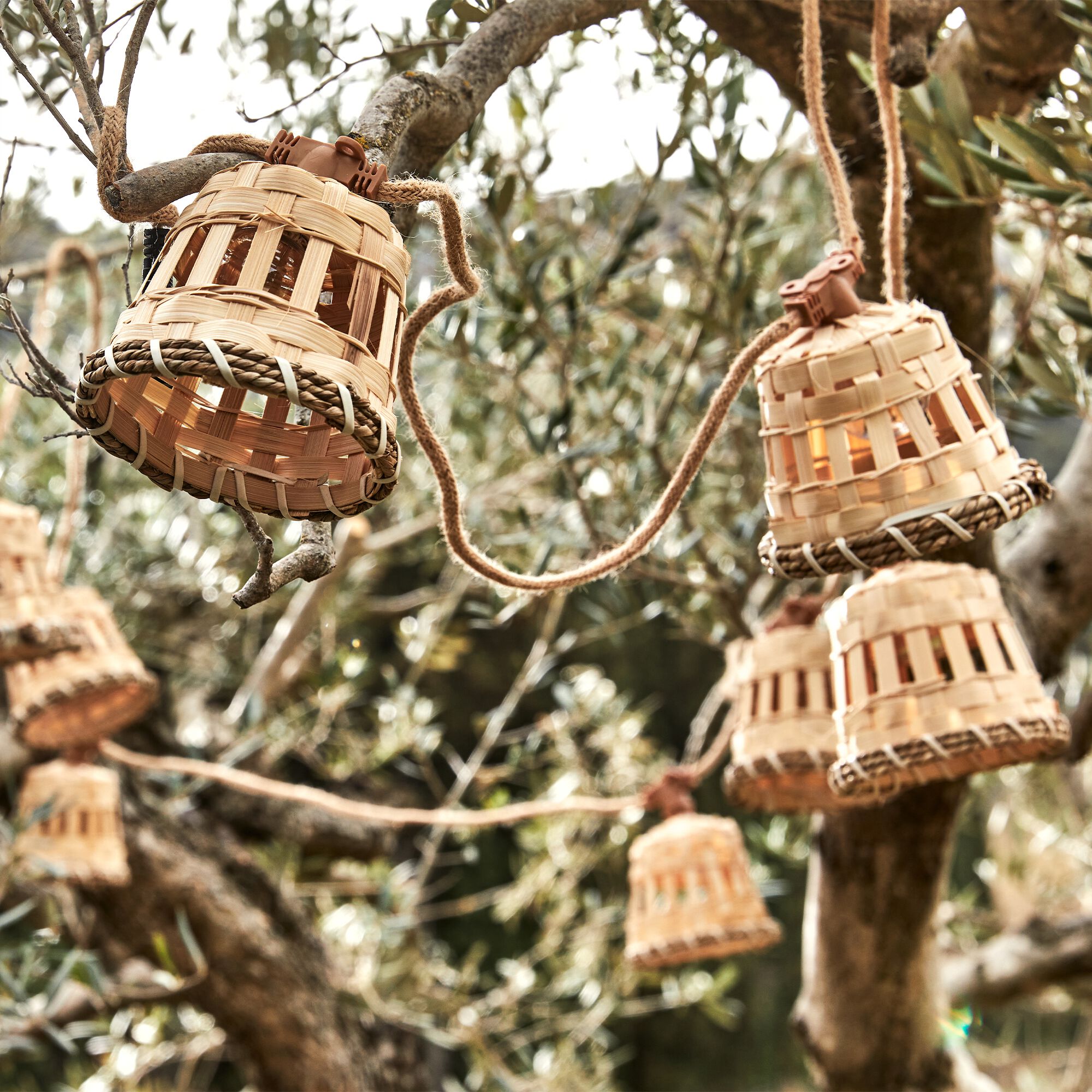 AURORA - Guirlande lumineuse solaire naturelle 8m - beige