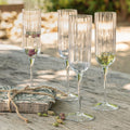 BACH - Coffret de 6 flûtes à champagne en cristallin 21cl - transparent