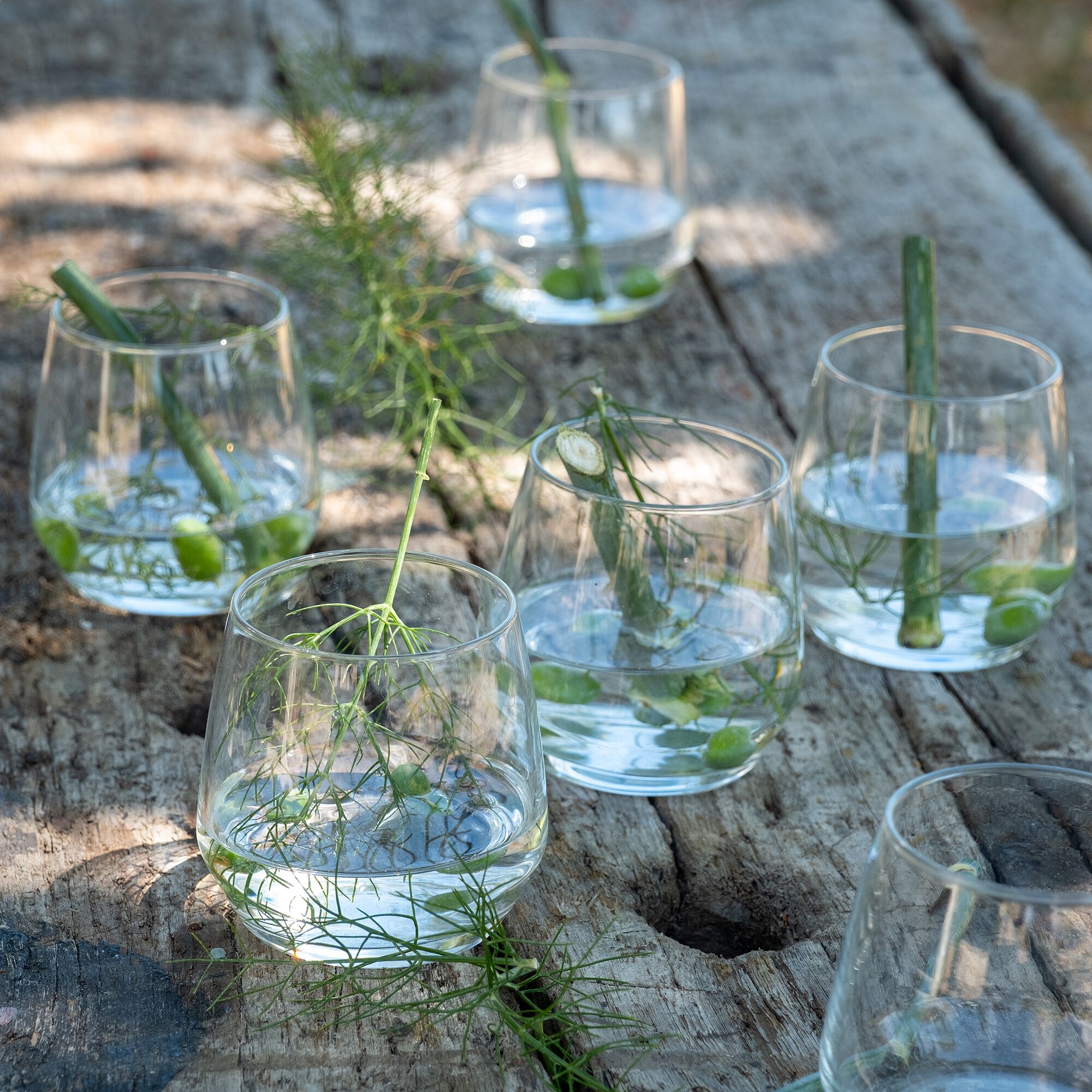 MADE - Coffret de 6 gobelets en verre 37cl - transparent