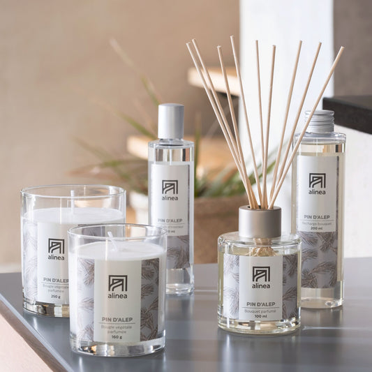 SIGNATURE - Vaporisateur senteur pin d'Alep 100ml