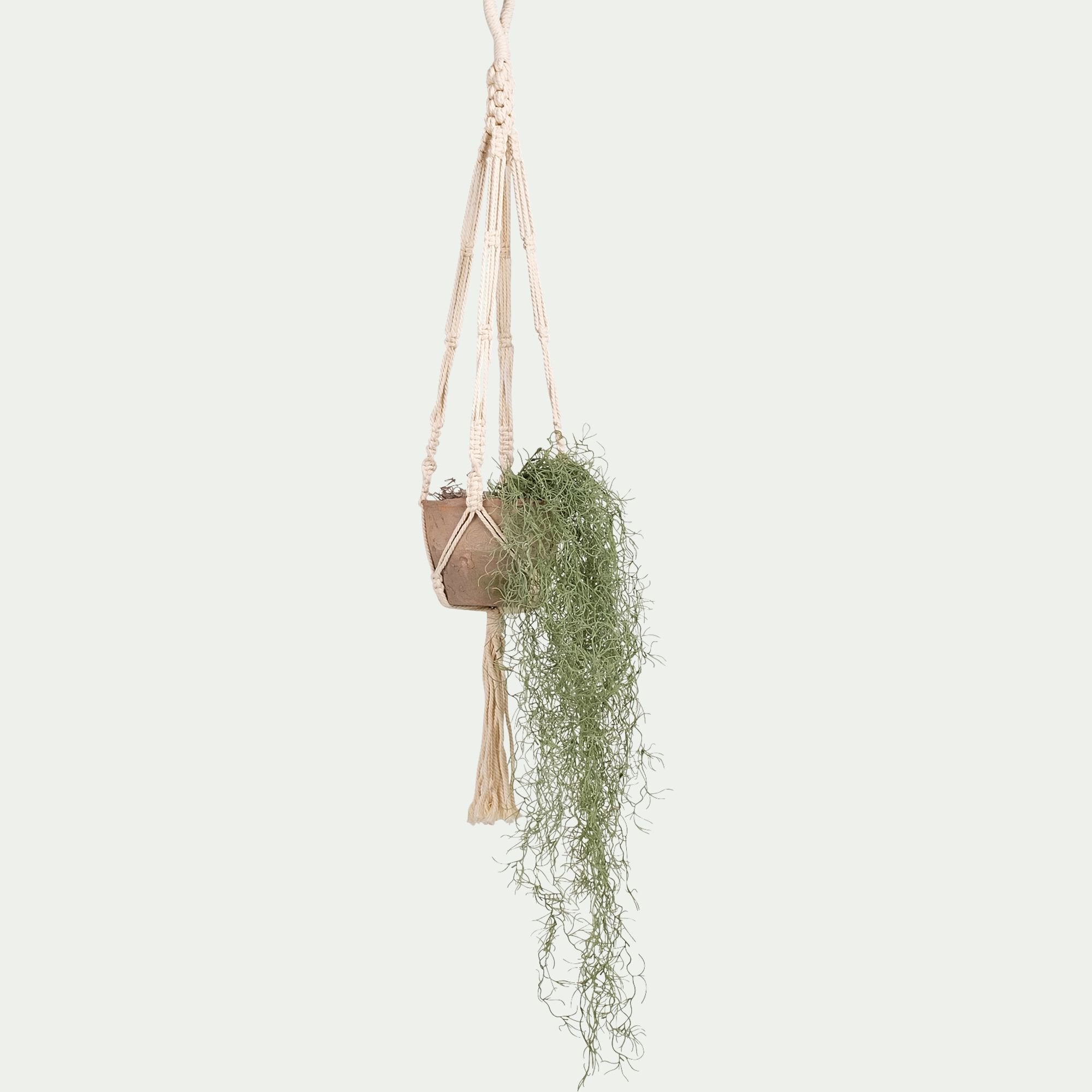 BERILLO - Plante tillandsia artificielle tombante avec pot suspendu H130cm - vert