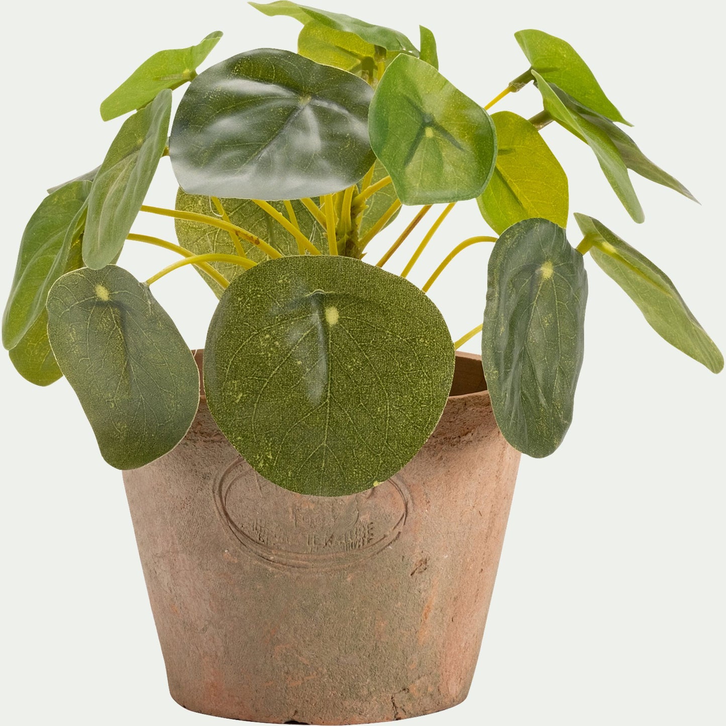 MAUNE - Pilea artificiel en pot H13cm - vert