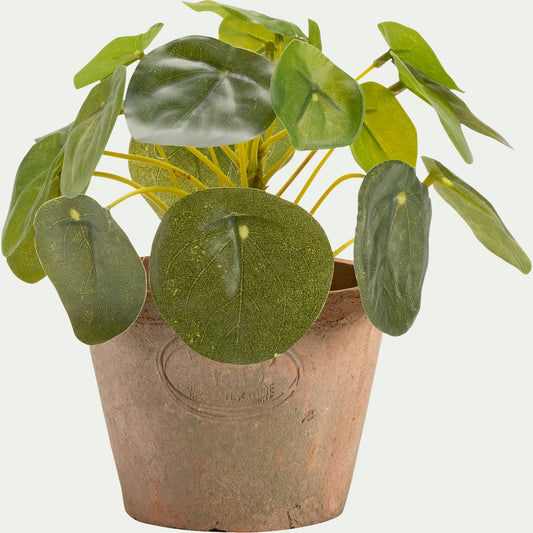 MAUNE - Pilea artificiel en pot H13cm - vert