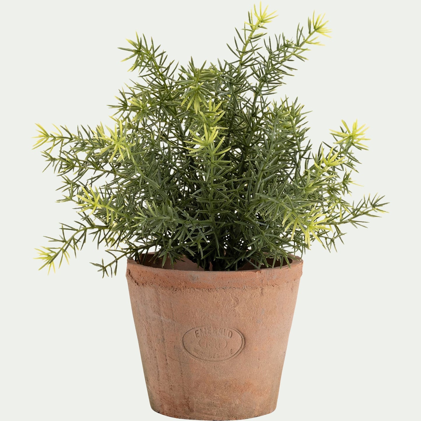 MAUNE - Asparagus artificiel H22,5cm - vert