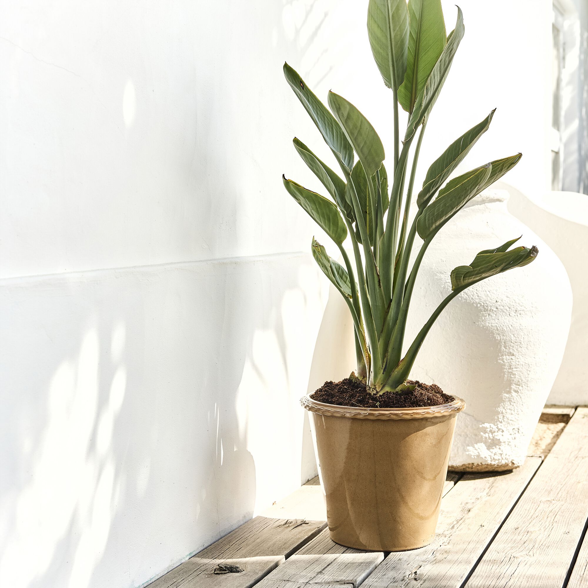 ARUDY - Pot en terre cuite D30cm - jaune