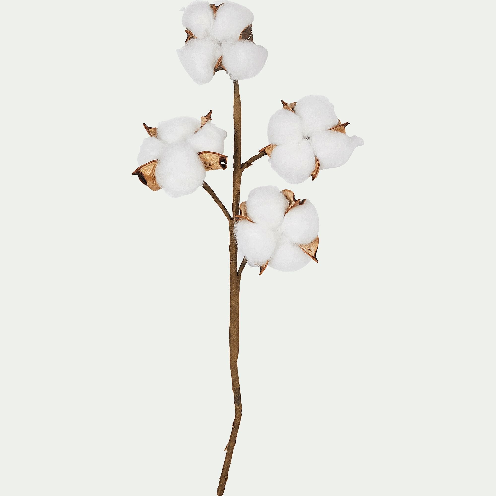 GOSSYPIUM - Tige artificielle de coton - blanc H19cm