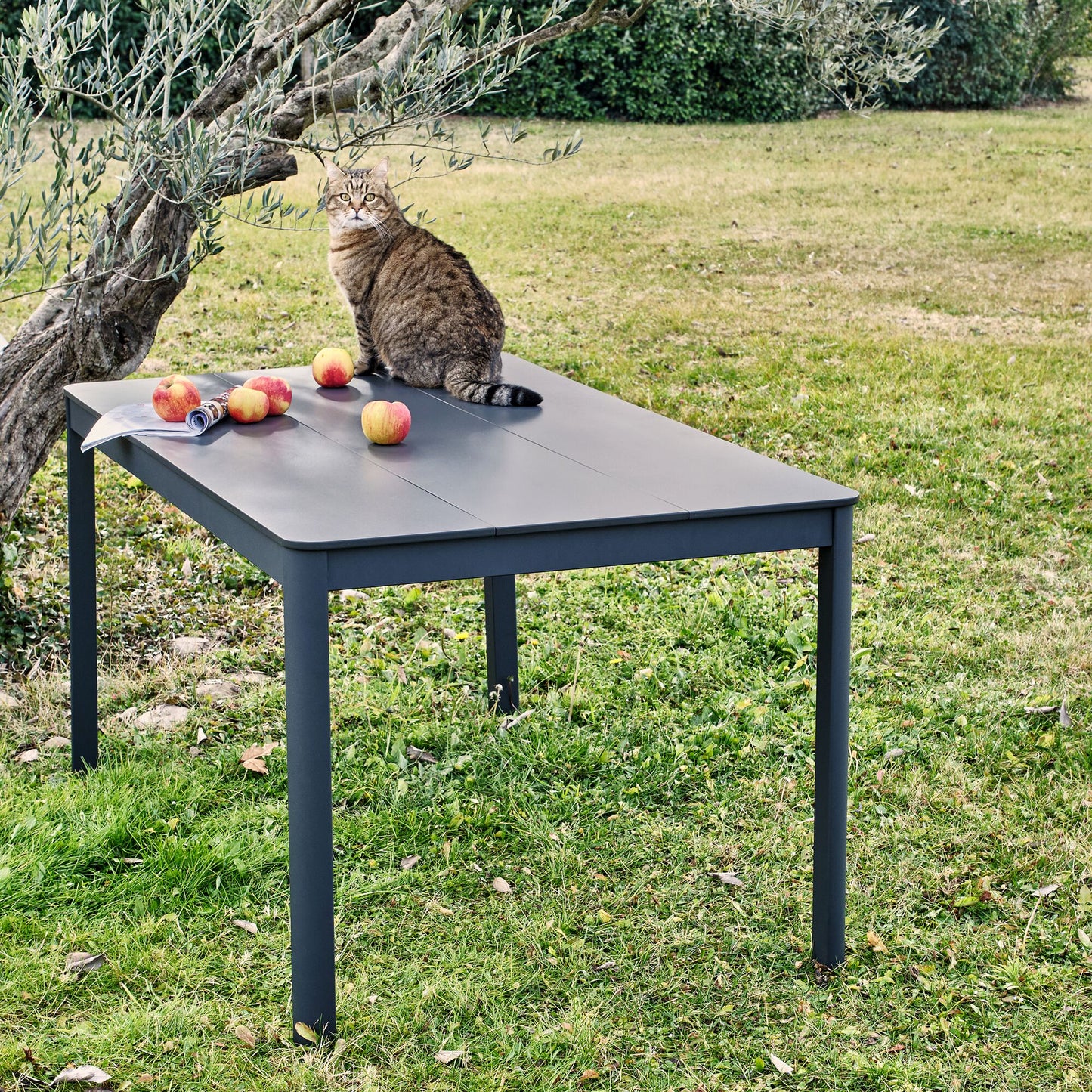 VERDIERE - Table de repas jardin en aluminium et duraboard - noir (6 places)