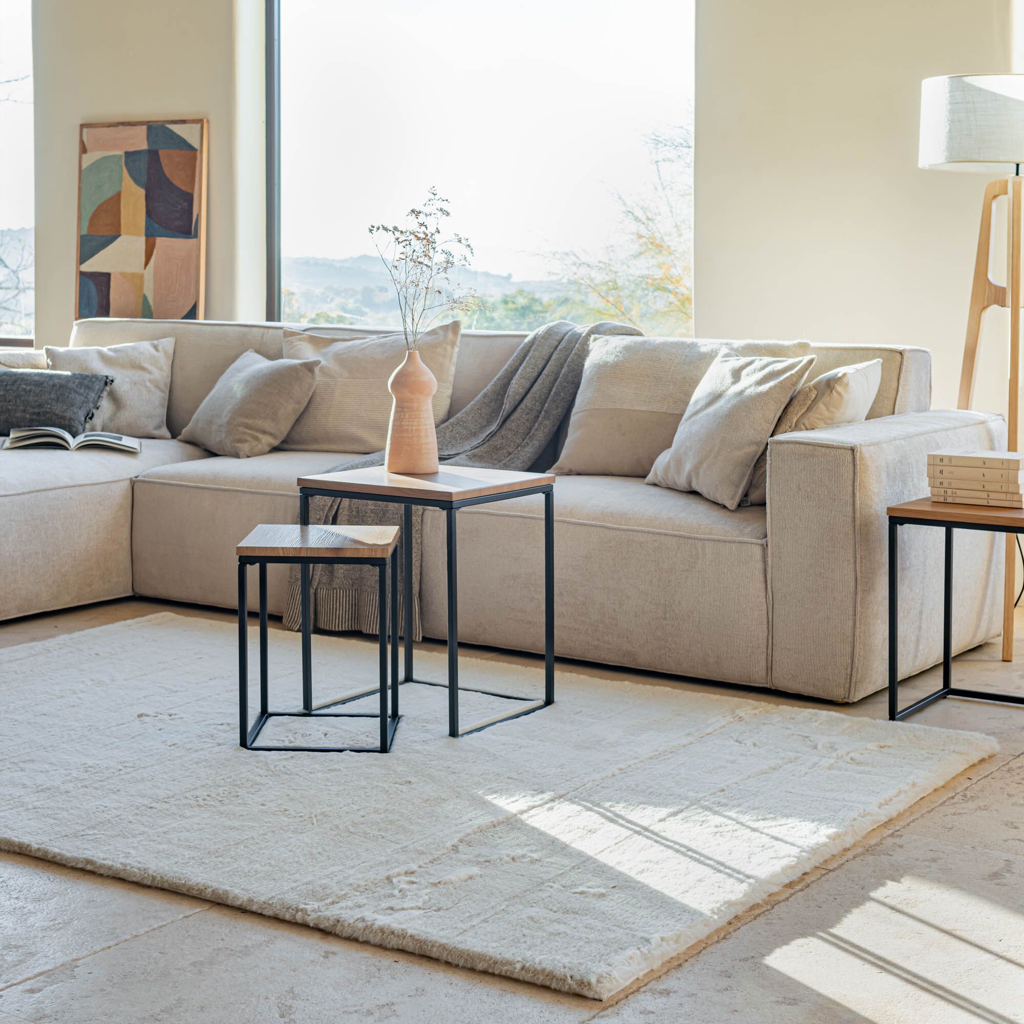 JOUVE - Tapis imitation fourrure - beige 160x230cm