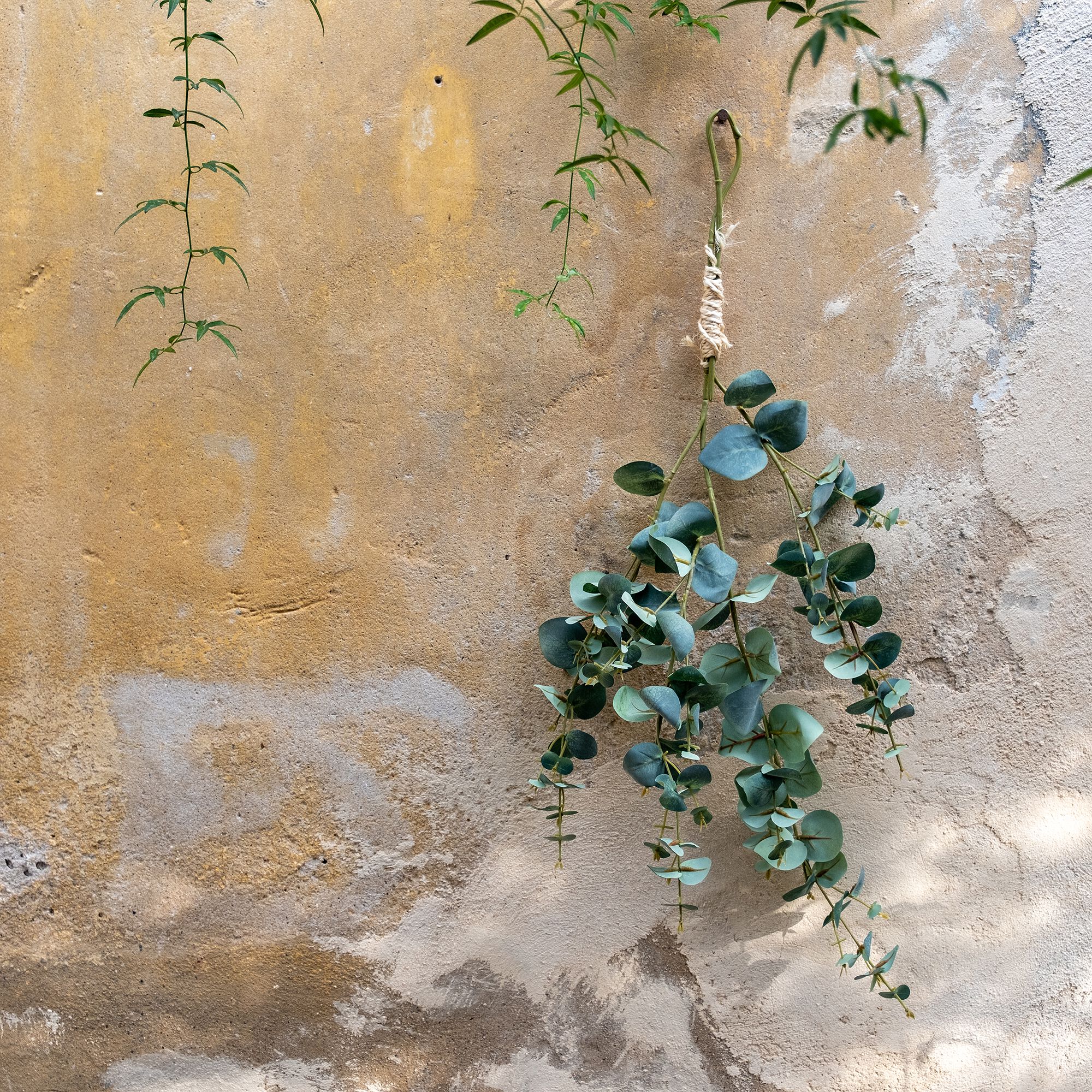 BERILLO - Branche d'eucalyptus artificielle H115cm - vert