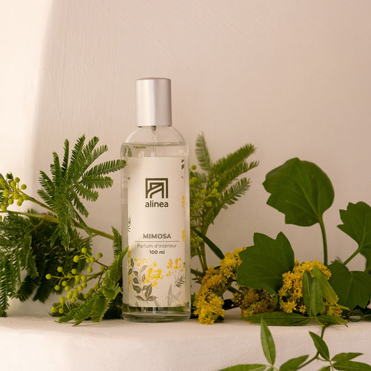 SIGNATURE - Vaporisateur senteur mimosa 100ml