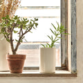FOLIGNO - Vase tube en céramique H15cm - blanc