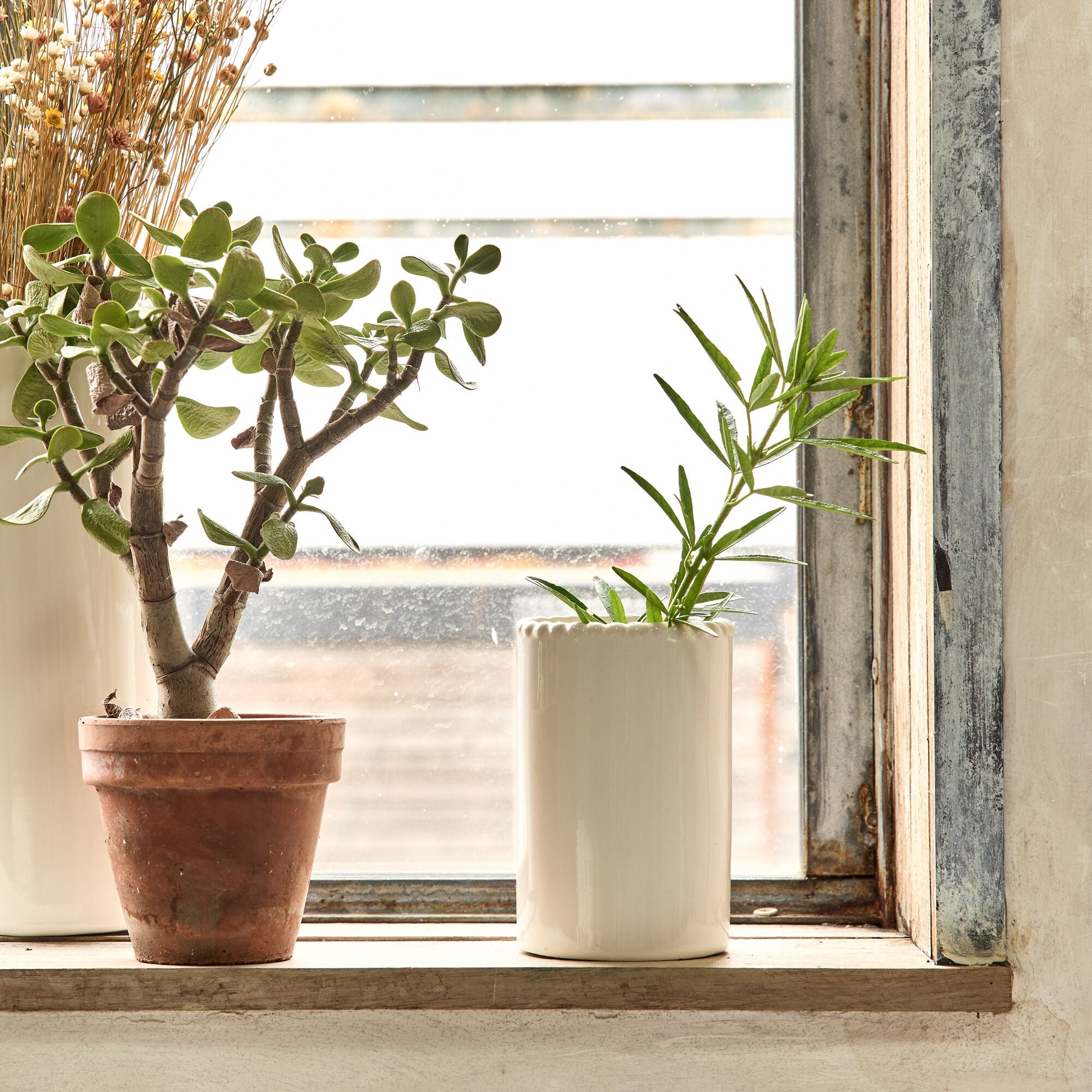FOLIGNO - Vase tube en céramique H15cm - blanc