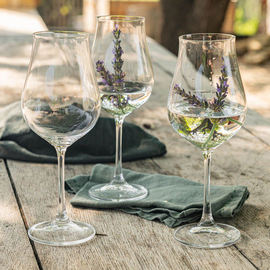 NEO - Verre a pied en verre 25cl - transparent