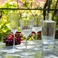 MACASSAR - Service de verres en cristallin - transparent